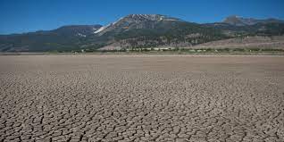 The stock market selloff still has another 20% to go