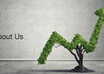 Roles and Responsibilities of a Finance Department